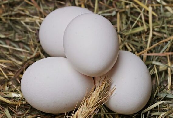 Le régime aux œufs consiste à manger quotidiennement des œufs de poule. 